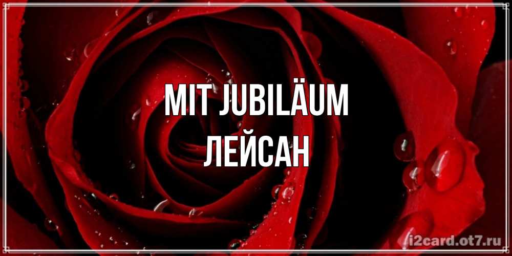 Открытка на каждый день с именем, Лейсан Mit Jubiläum крупная бордовая роза Прикольная открытка с пожеланием онлайн скачать бесплатно 