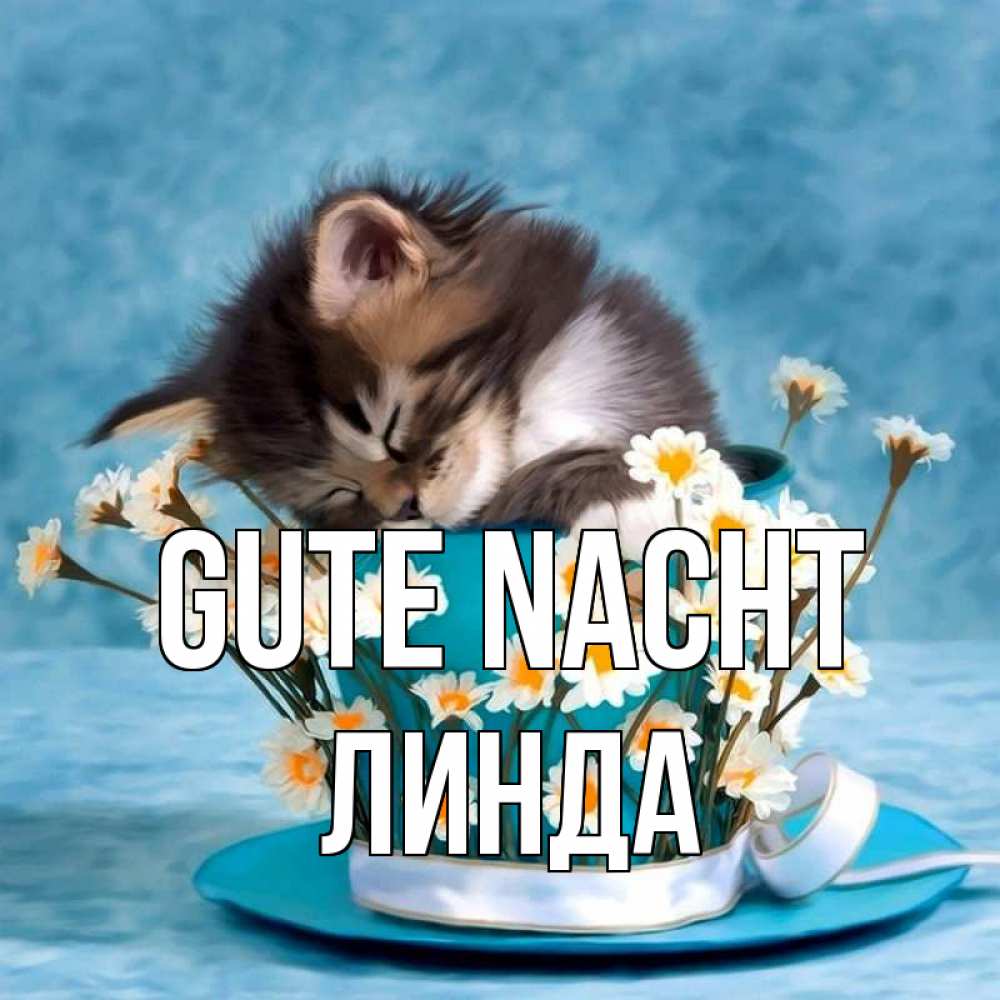 Открытка на каждый день с именем, Линда Gute Nacht котенок спит в кружке с блюдцем Прикольная открытка с пожеланием онлайн скачать бесплатно 