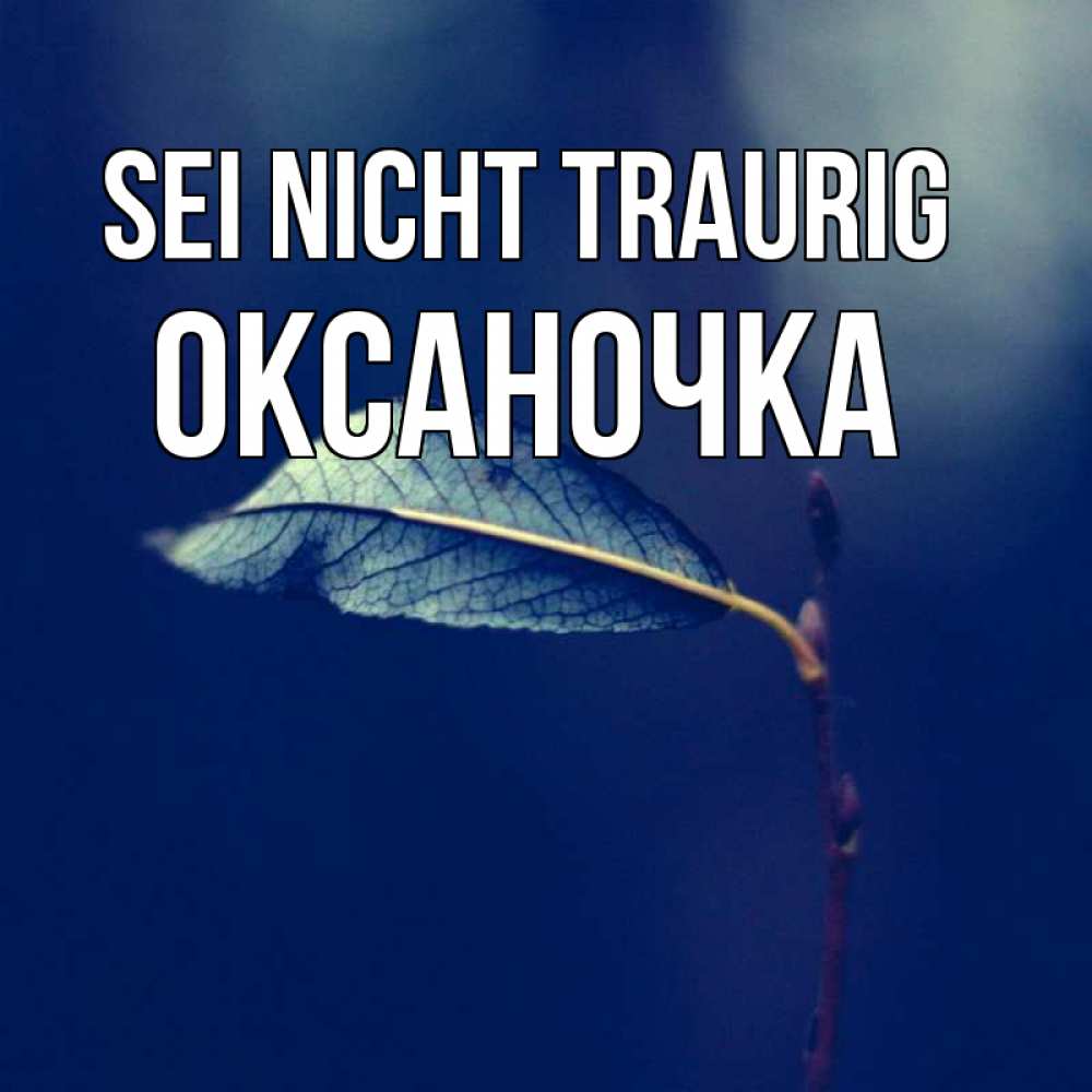 Открытка на каждый день с именем, Оксаночка Sei nicht traurig растение Прикольная открытка с пожеланием онлайн скачать бесплатно 