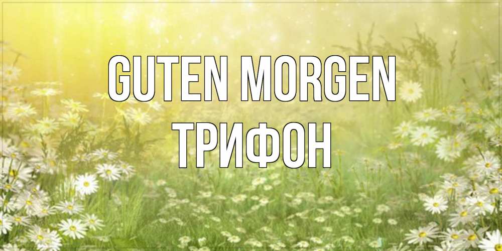 Открытка на каждый день с именем, Трифон Guten Morgen доброе утро Прикольная открытка с пожеланием онлайн скачать бесплатно 