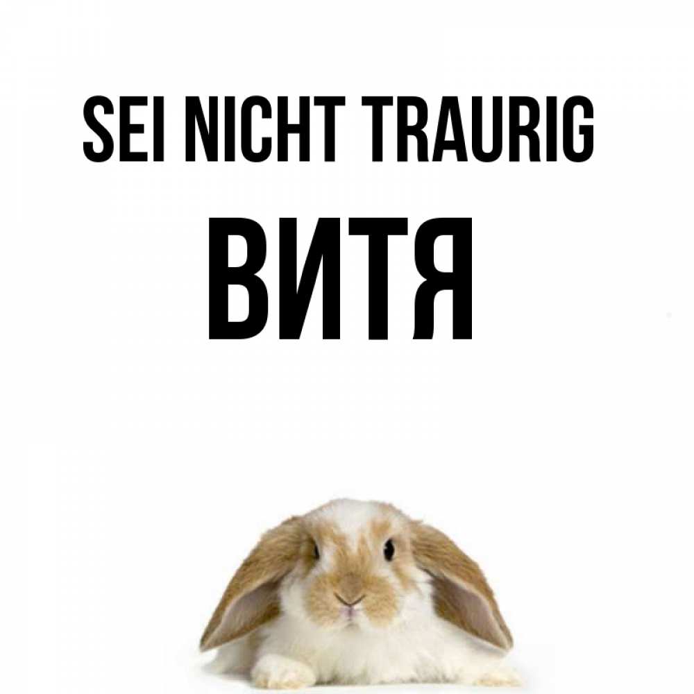 Открытка на каждый день с именем, Витя Sei nicht traurig коричнево белый заяц с большими ушками Прикольная открытка с пожеланием онлайн скачать бесплатно 