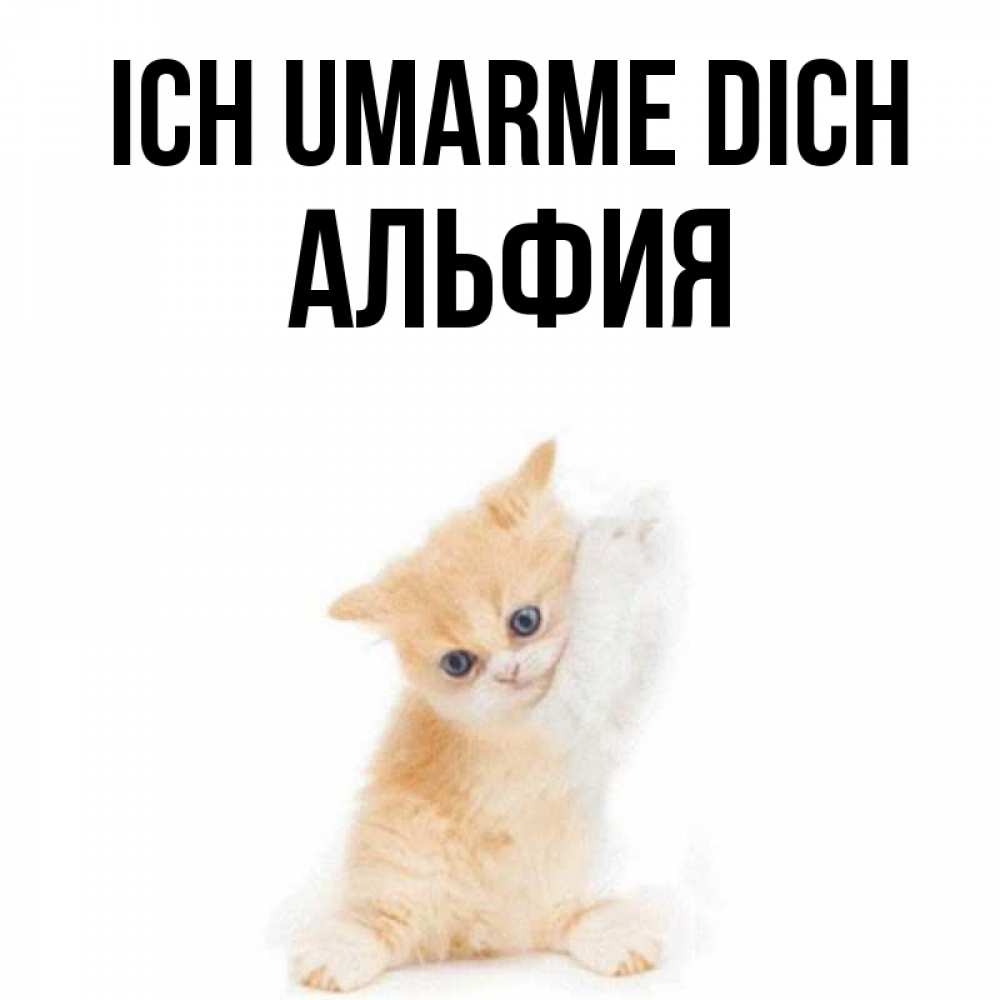 Открытка на каждый день с именем, Альфия Ich umarme dich я хочу очень скорее обнимаешек Прикольная открытка с пожеланием онлайн скачать бесплатно 