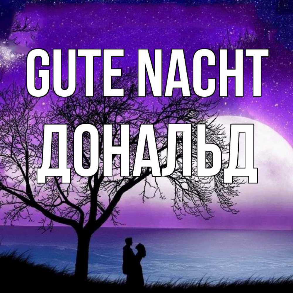Открытка на каждый день с именем, Дональд Gute Nacht огромная луна и парочка Прикольная открытка с пожеланием онлайн скачать бесплатно 