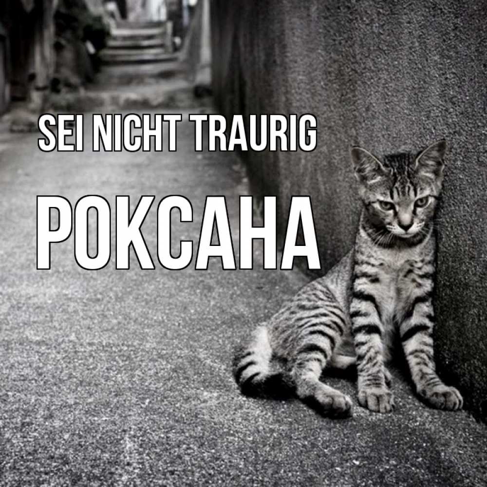Открытка на каждый день с именем, Роксана Sei nicht traurig скучающий котик Прикольная открытка с пожеланием онлайн скачать бесплатно 