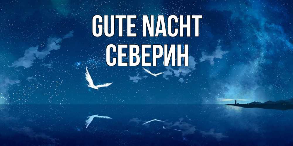Открытка на каждый день с именем, Северин Gute Nacht птицы летят на фоне ночного неба Прикольная открытка с пожеланием онлайн скачать бесплатно 