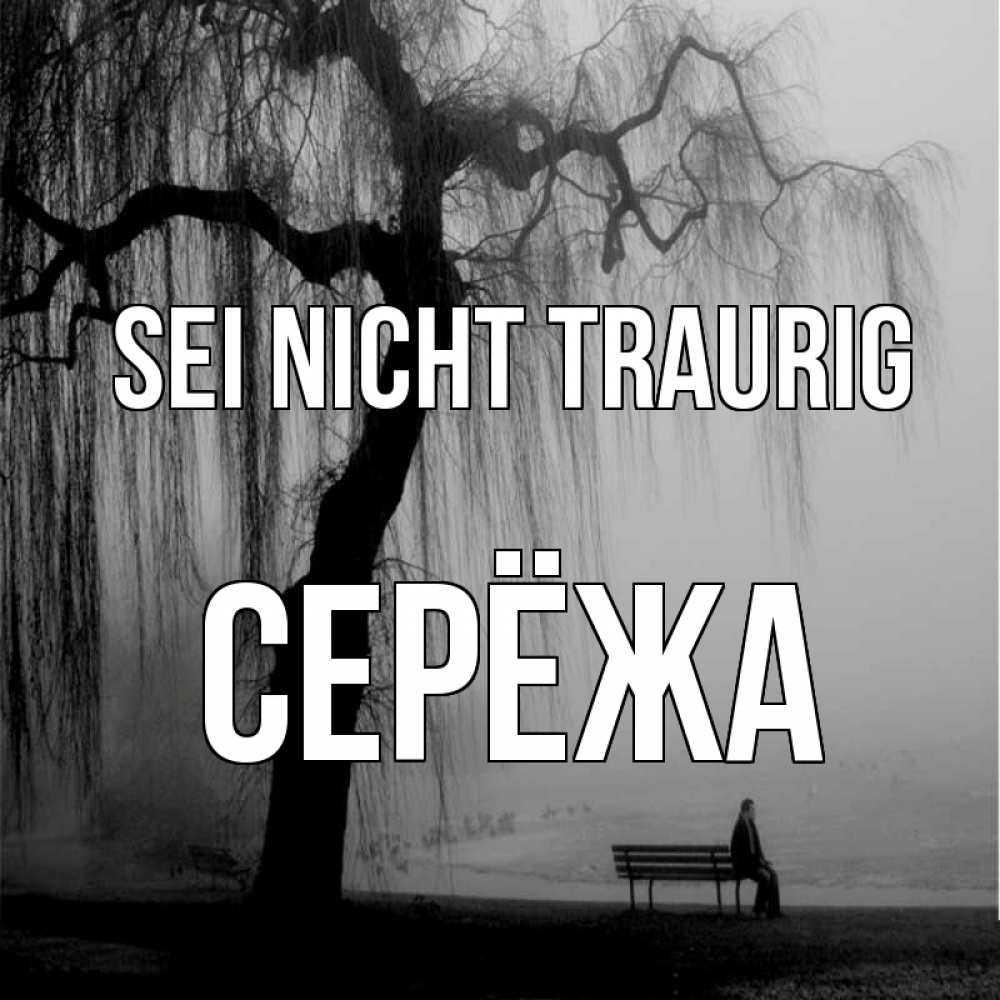Открытка на каждый день с именем, Серёжа Sei nicht traurig висящие ветки дерева и лавочка под деревом Прикольная открытка с пожеланием онлайн скачать бесплатно 