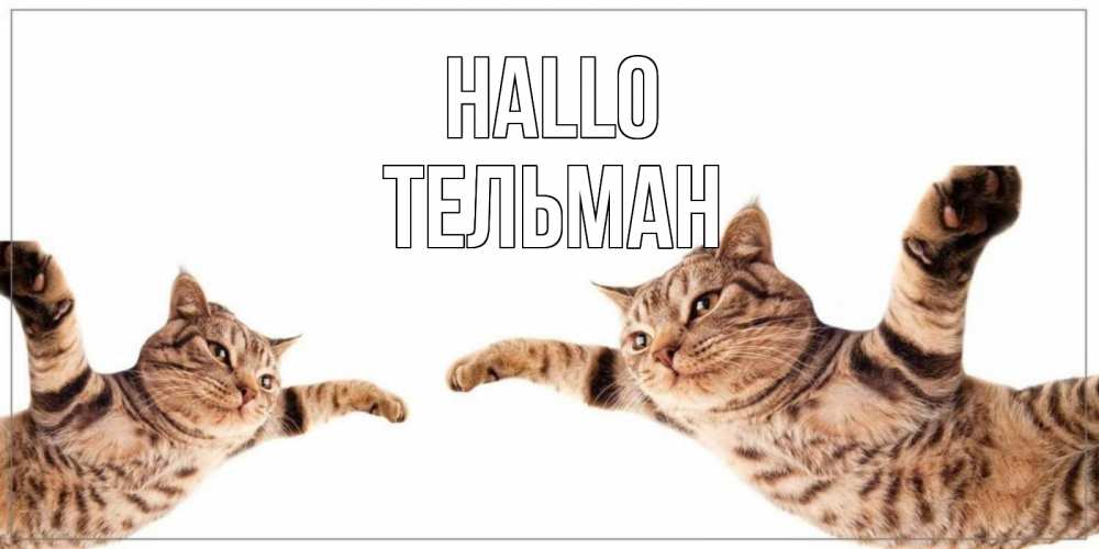 Открытка на каждый день с именем, Тельман Hallo кот Прикольная открытка с пожеланием онлайн скачать бесплатно 