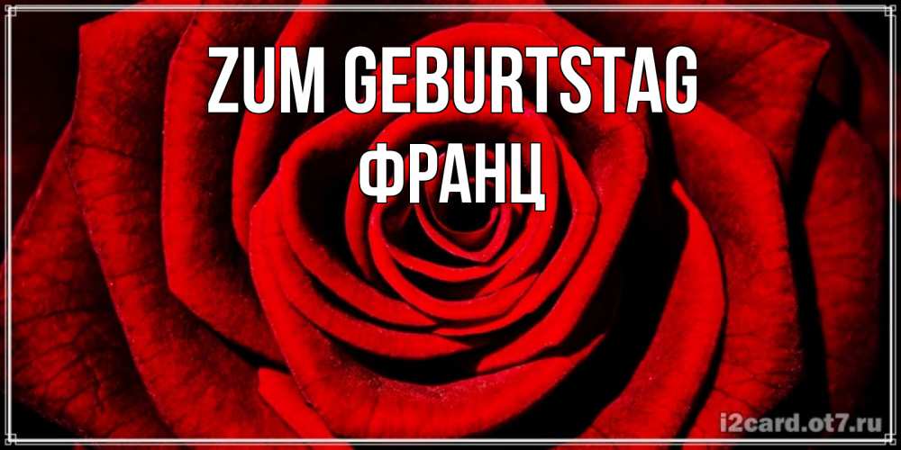 Открытка на каждый день с именем, Франц Zum Geburtstag алая роза Прикольная открытка с пожеланием онлайн скачать бесплатно 