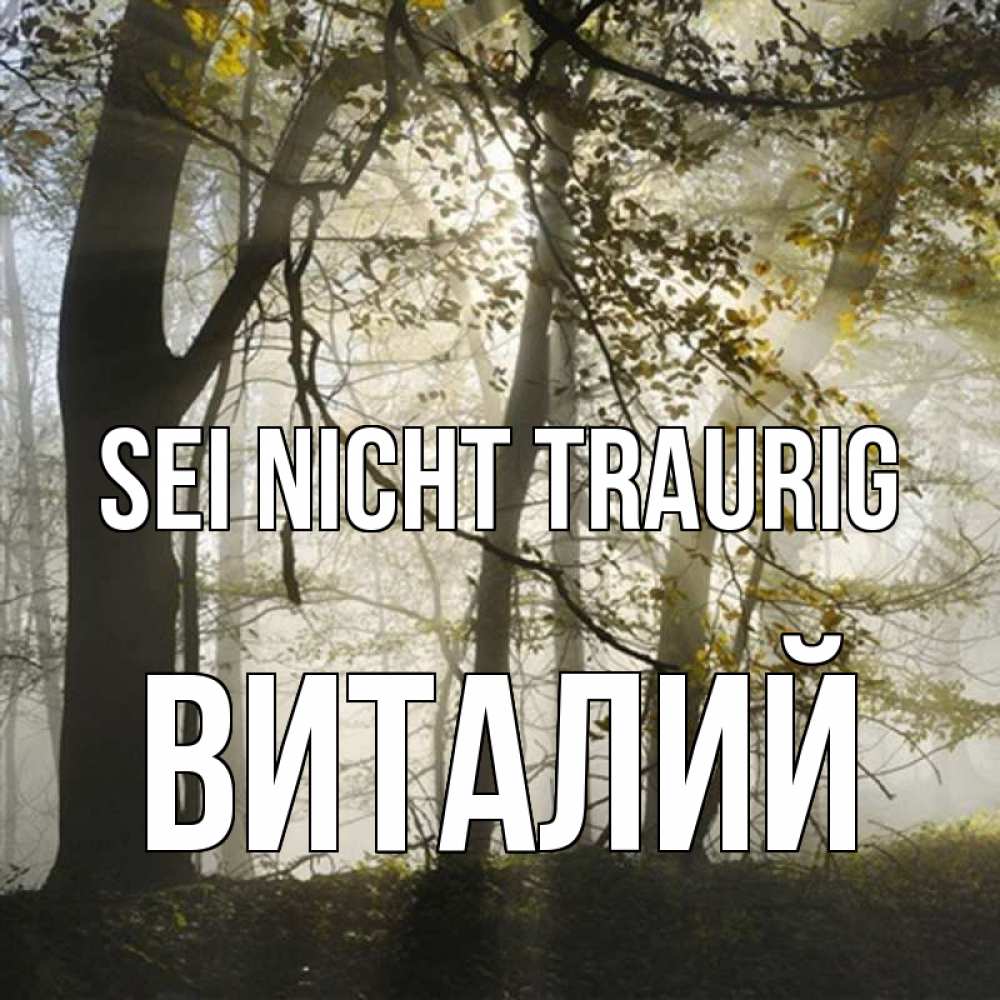 Открытка на каждый день с именем, Виталий Sei nicht traurig лес и свет Прикольная открытка с пожеланием онлайн скачать бесплатно 