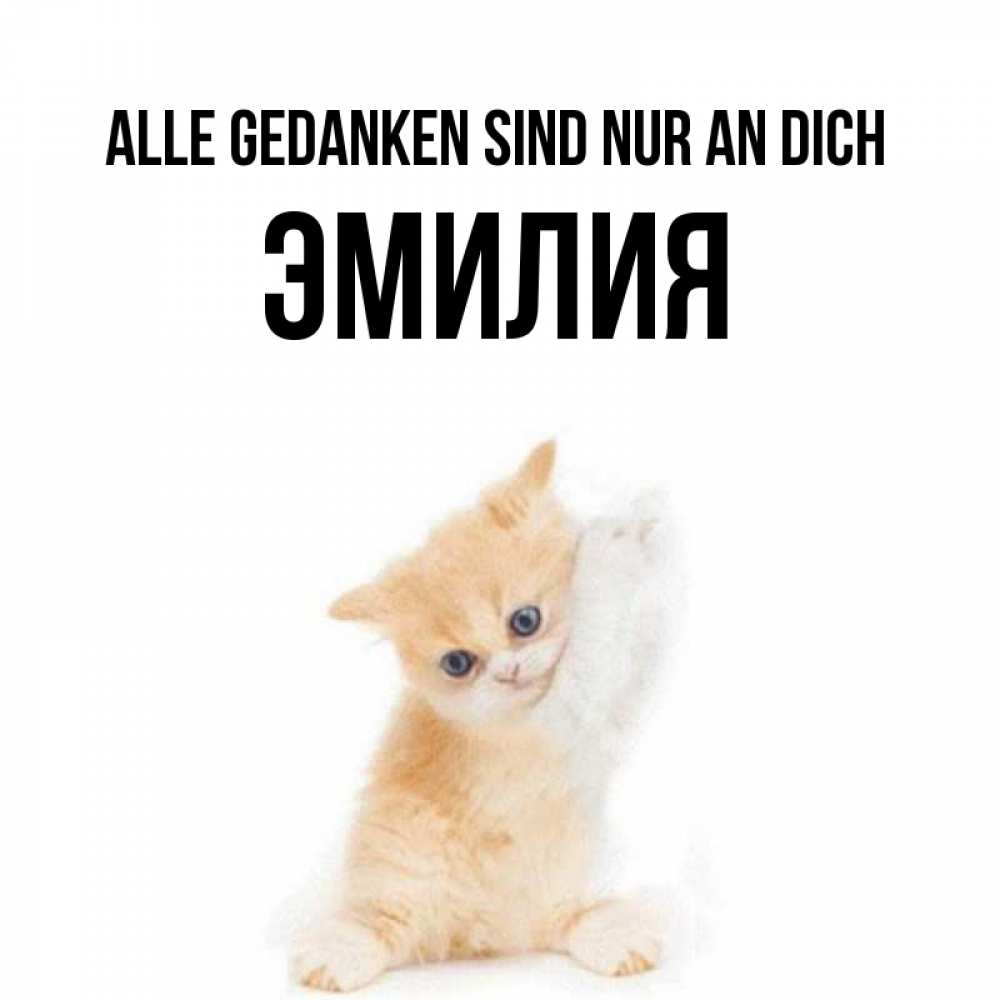 Открытка на каждый день с именем, Эмилия Alle Gedanken sind nur an dich зверушки и милота Прикольная открытка с пожеланием онлайн скачать бесплатно 