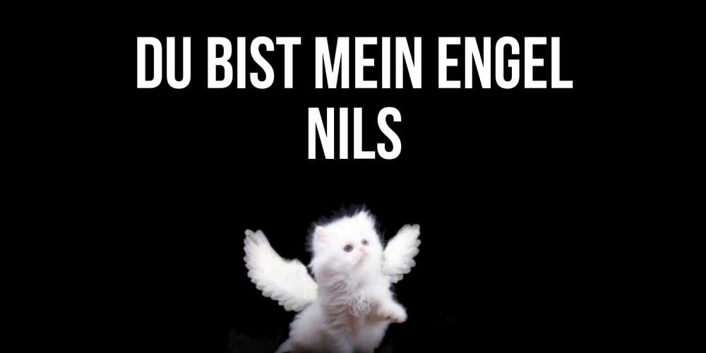 Открытка на каждый день с именем, Nils Du bist mein Engel Кот ангел Прикольная открытка с пожеланием онлайн скачать бесплатно 