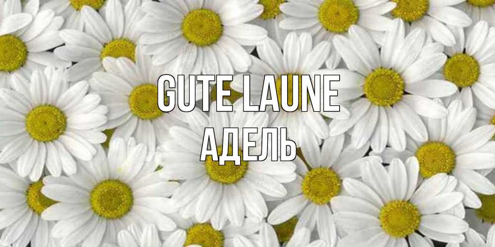 Открытка на каждый день с именем, Адель Gute Laune поляна ромашек Прикольная открытка с пожеланием онлайн скачать бесплатно 