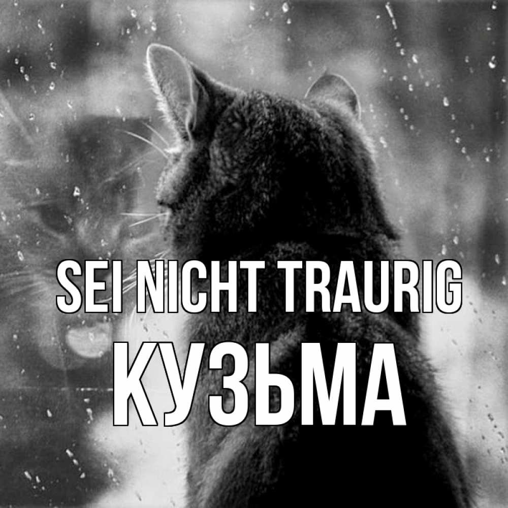 Открытка на каждый день с именем, Кузьма Sei nicht traurig отражение кота 1 Прикольная открытка с пожеланием онлайн скачать бесплатно 