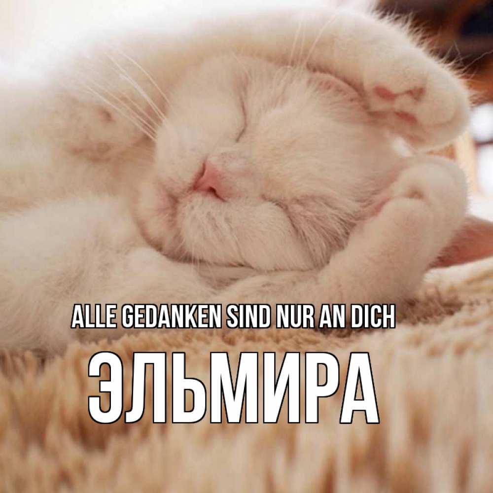 Открытка на каждый день с именем, Эльмира Alle Gedanken sind nur an dich для любимой девушки милота Прикольная открытка с пожеланием онлайн скачать бесплатно 