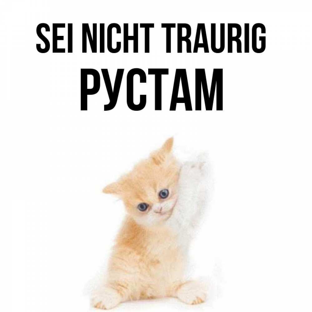 Открытка на каждый день с именем, Рустам Sei nicht traurig просящий кот Прикольная открытка с пожеланием онлайн скачать бесплатно 