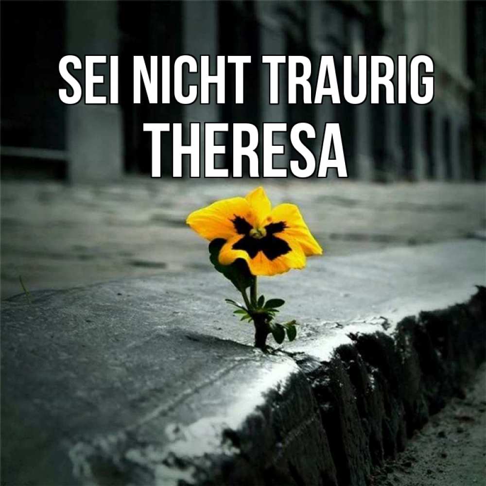 Открытка на каждый день с именем, Theresa Sei nicht traurig не сдавайся Прикольная открытка с пожеланием онлайн скачать бесплатно 