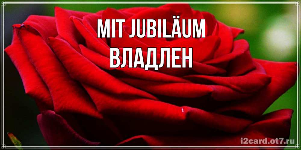 Открытка на каждый день с именем, Владлен Mit Jubiläum розочка очень красивая Прикольная открытка с пожеланием онлайн скачать бесплатно 