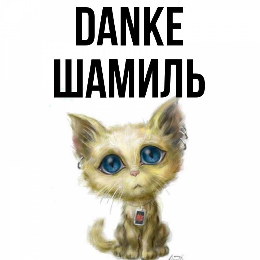 Открытка на каждый день с именем, Шамиль Danke рисованный кот благодарит вас Прикольная открытка с пожеланием онлайн скачать бесплатно 