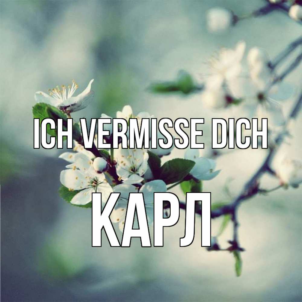 Открытка на каждый день с именем, Карл Ich vermisse dich весна Прикольная открытка с пожеланием онлайн скачать бесплатно 