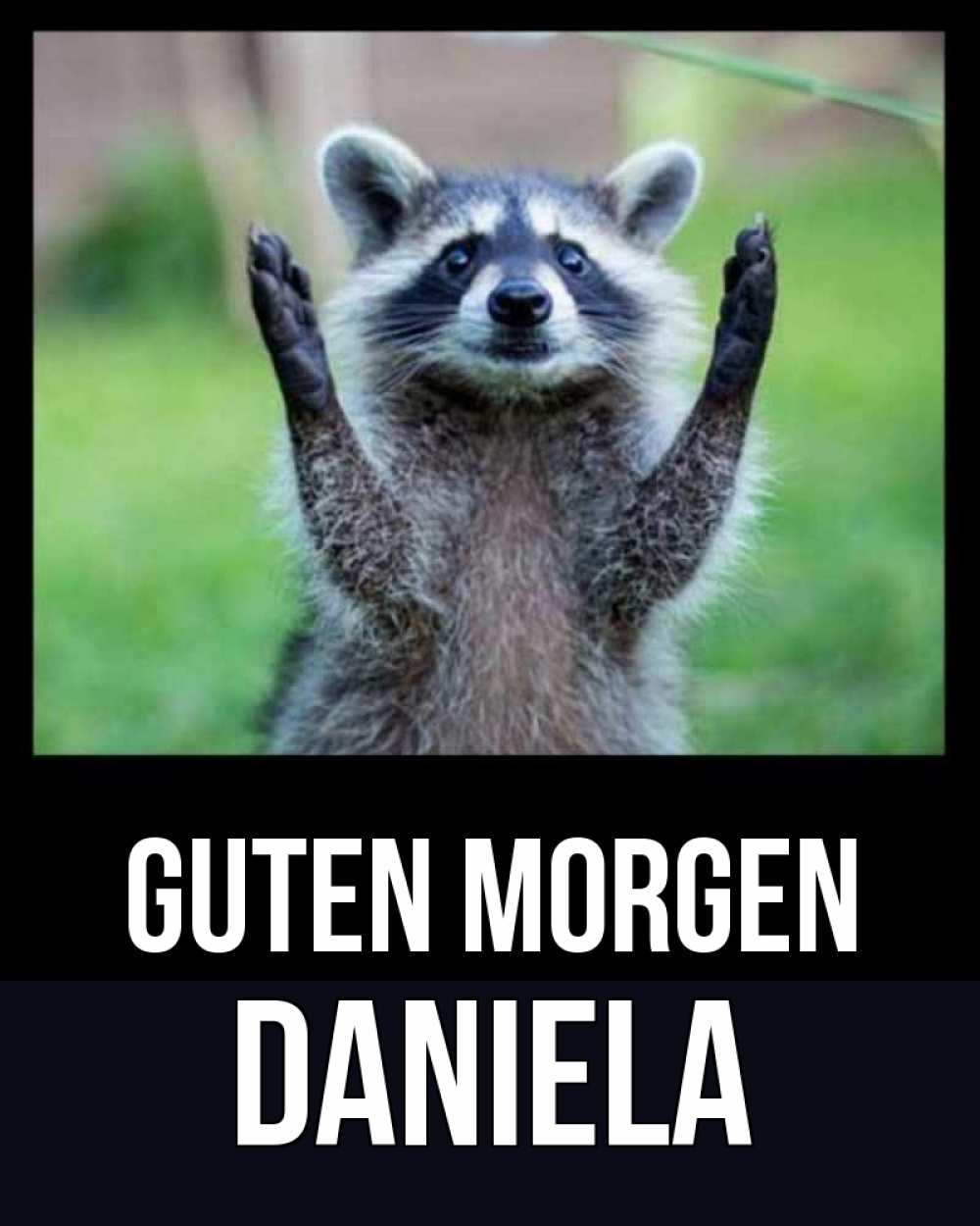 Открытка на каждый день с именем, Daniela Guten Morgen хорошее настроение утречком Прикольная открытка с пожеланием онлайн скачать бесплатно 