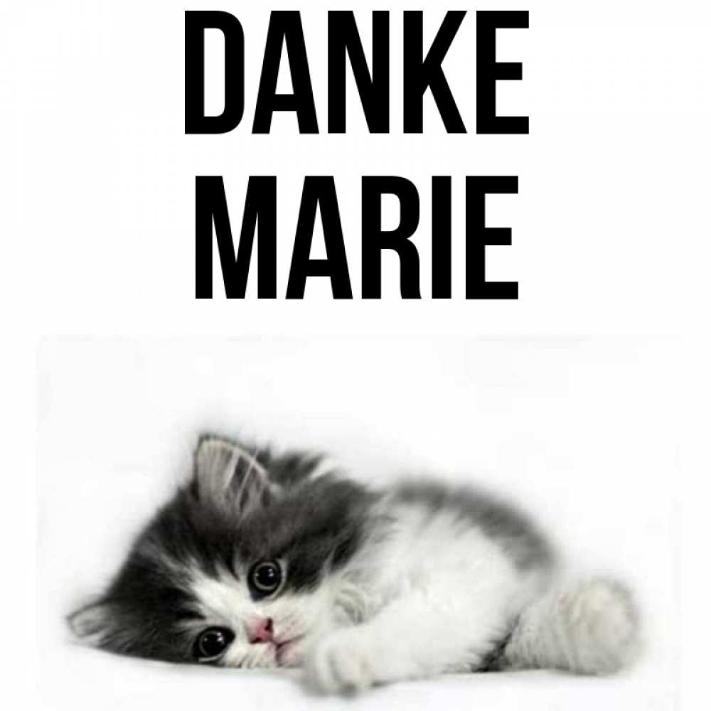 Открытка на каждый день с именем, Marie Danke черный и белый кот Прикольная открытка с пожеланием онлайн скачать бесплатно 
