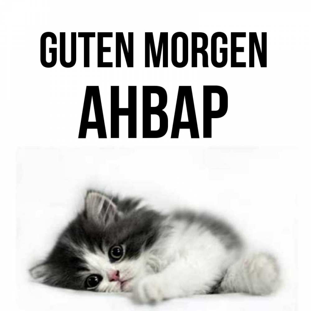 Открытка на каждый день с именем, Анвар Guten Morgen кот лапки Прикольная открытка с пожеланием онлайн скачать бесплатно 