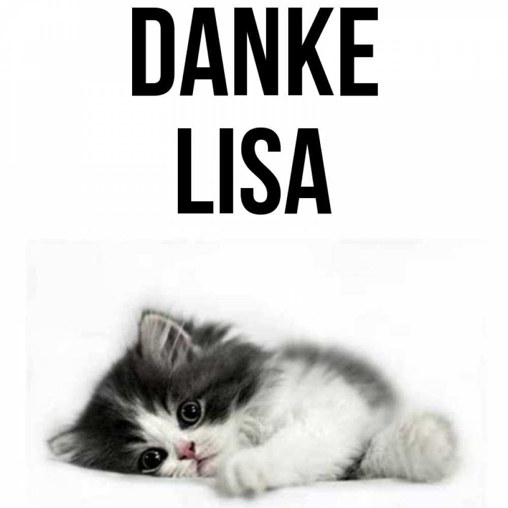 Открытка на каждый день с именем, Lisa Danke черный и белый кот Прикольная открытка с пожеланием онлайн скачать бесплатно 