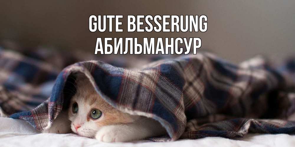 Открытка на каждый день с именем, Абильмансур Gute Besserung не болейте с котиком Прикольная открытка с пожеланием онлайн скачать бесплатно 