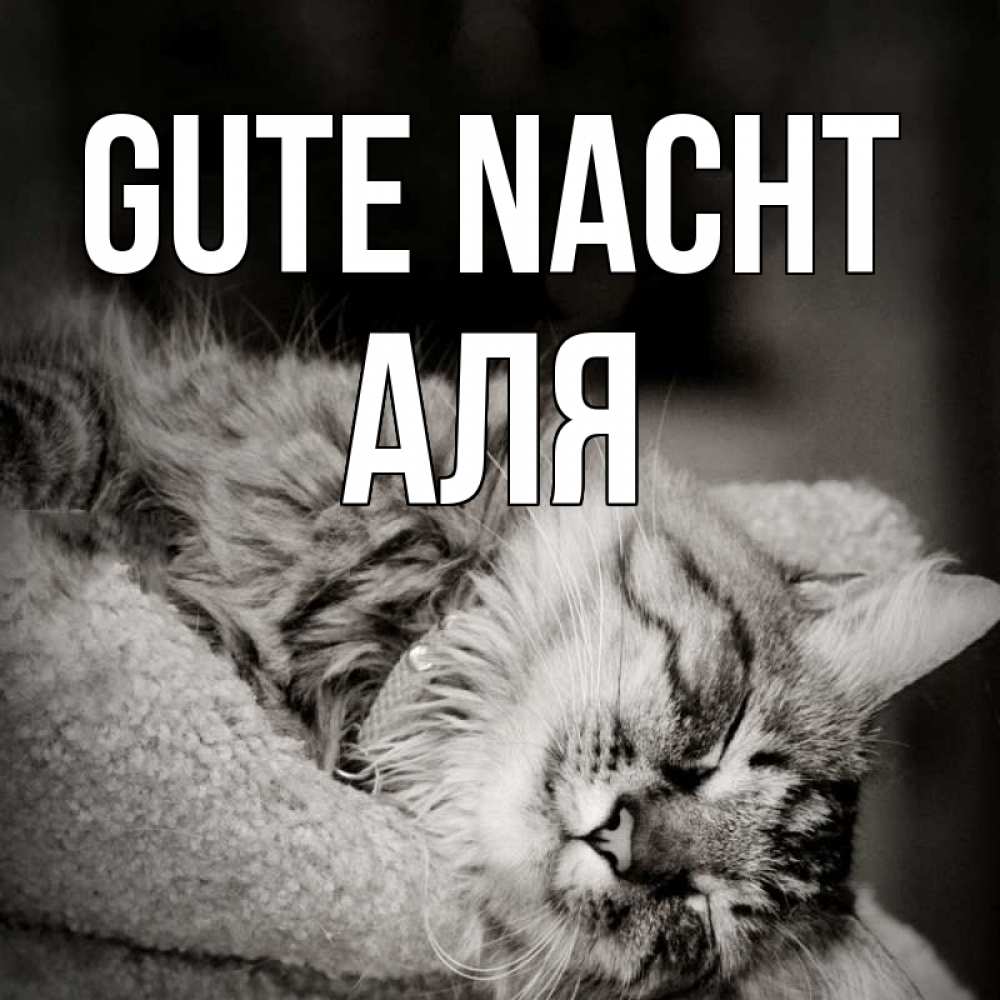 Открытка на каждый день с именем, Аля Gute Nacht котярик пушистый Прикольная открытка с пожеланием онлайн скачать бесплатно 
