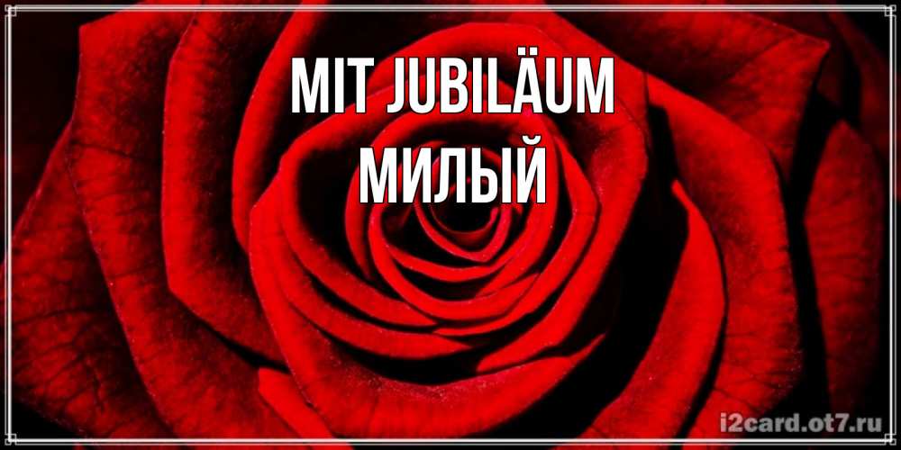 Открытка на каждый день с именем, Милый Mit Jubiläum алая роза Прикольная открытка с пожеланием онлайн скачать бесплатно 