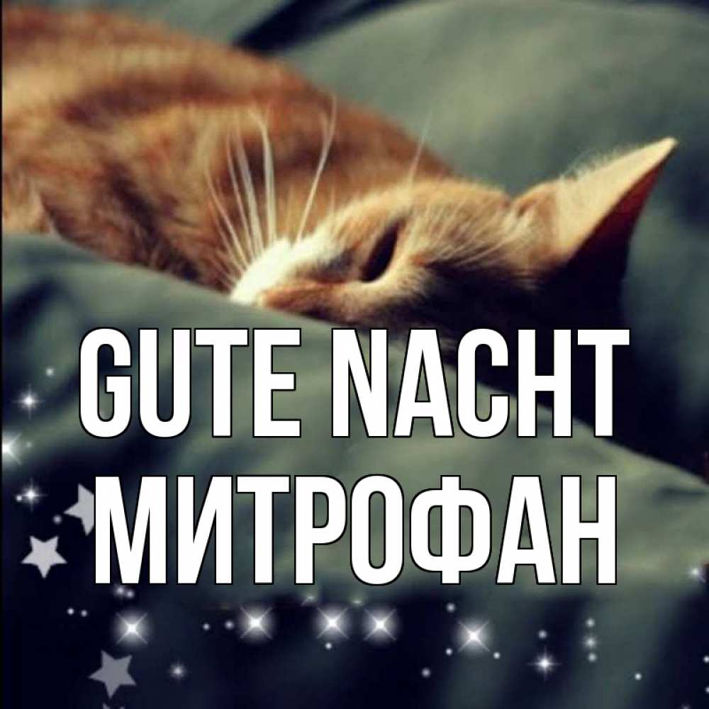 Открытка на каждый день с именем, Митрофан Gute Nacht кроватка Прикольная открытка с пожеланием онлайн скачать бесплатно 