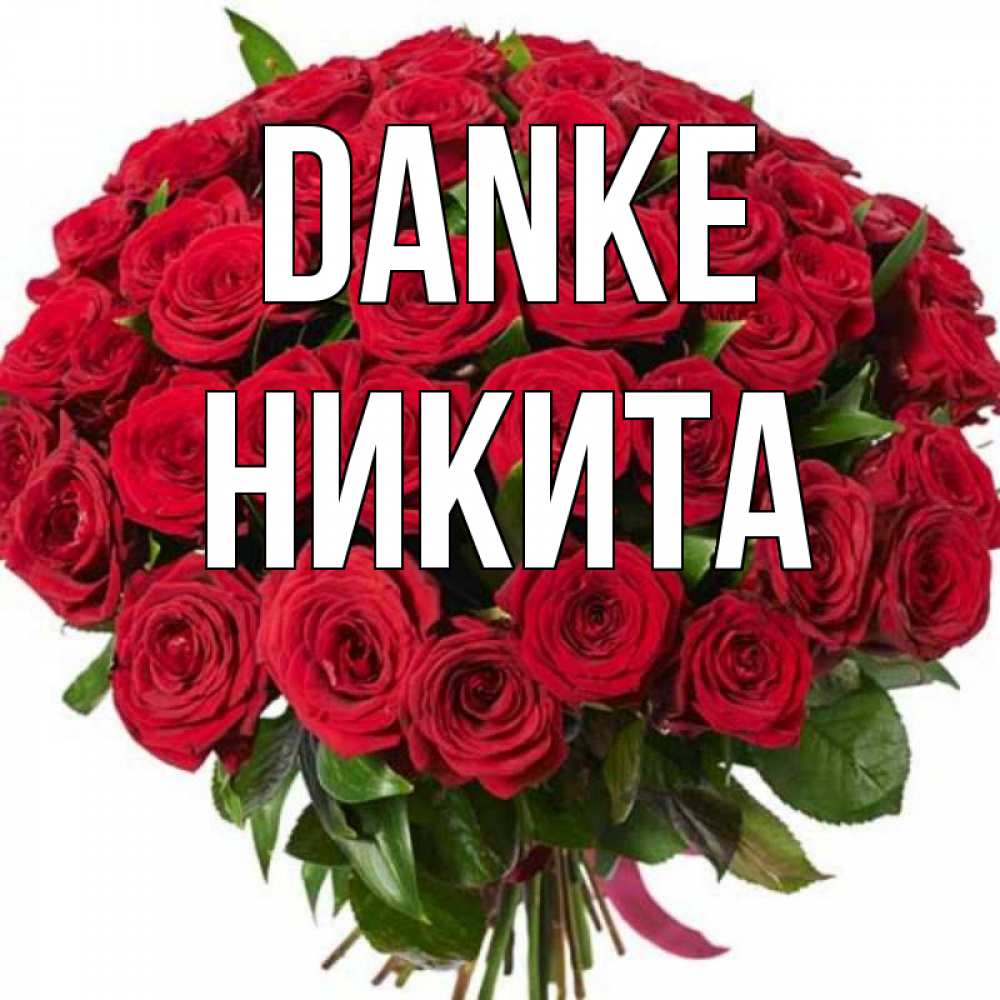 Открытка на каждый день с именем, Никита Danke букет красных роз Прикольная открытка с пожеланием онлайн скачать бесплатно 