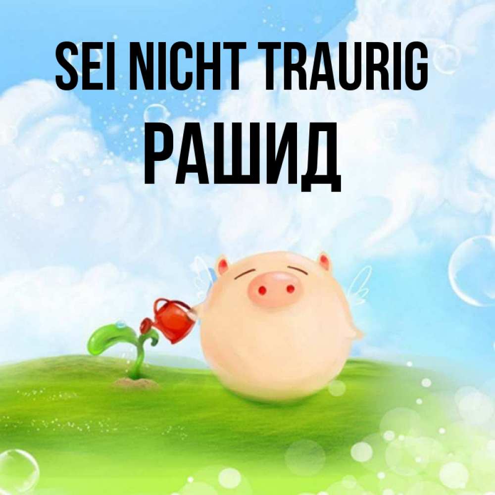 Открытка на каждый день с именем, Рашид Sei nicht traurig поливает цветок порося Прикольная открытка с пожеланием онлайн скачать бесплатно 