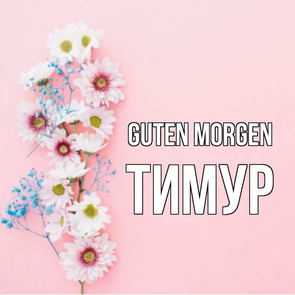 Открытка на каждый день с именем, Тимур Guten Morgen цветы с подписью Прикольная открытка с пожеланием онлайн скачать бесплатно 