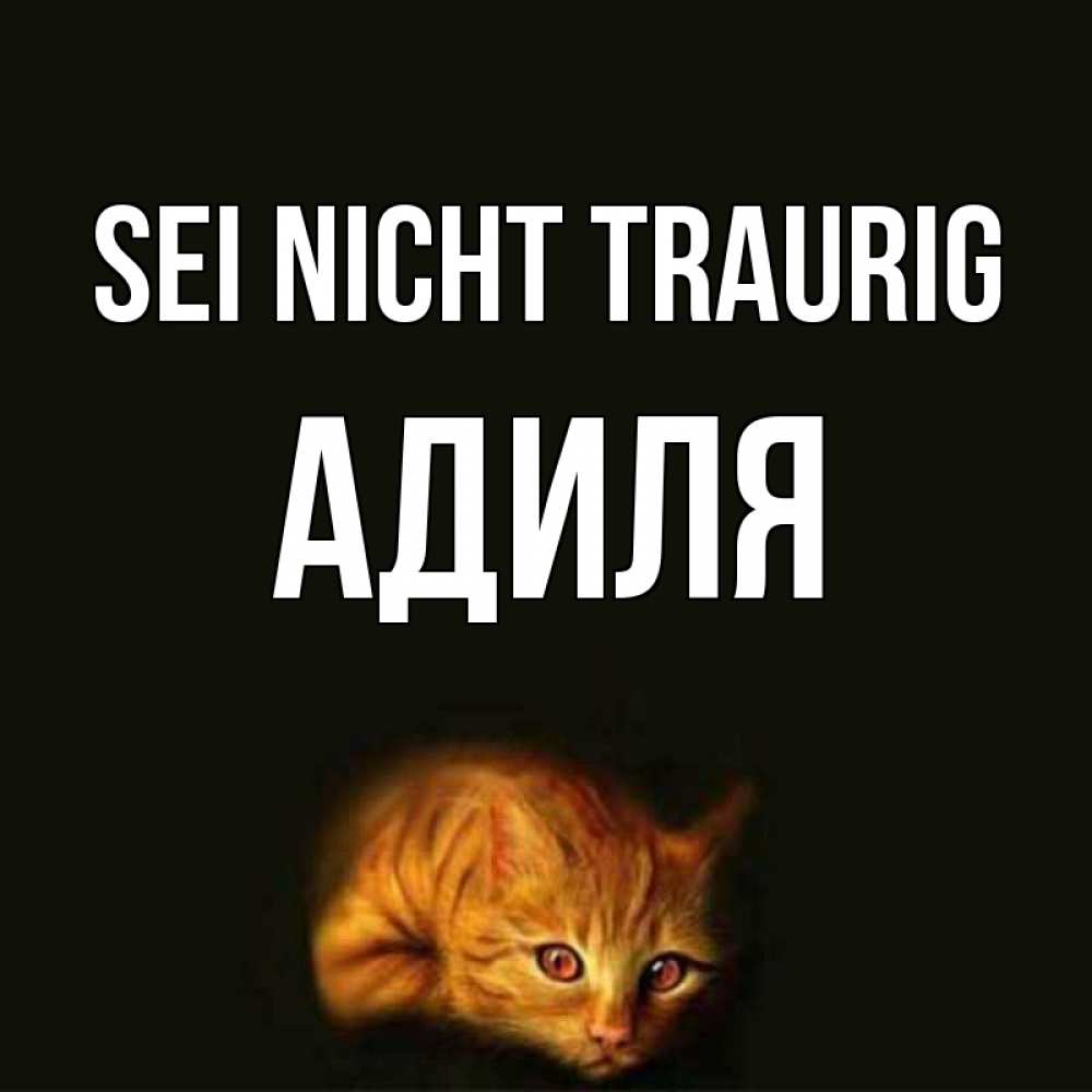 Открытка на каждый день с именем, Адиля Sei nicht traurig лежащий кот в темноте Прикольная открытка с пожеланием онлайн скачать бесплатно 