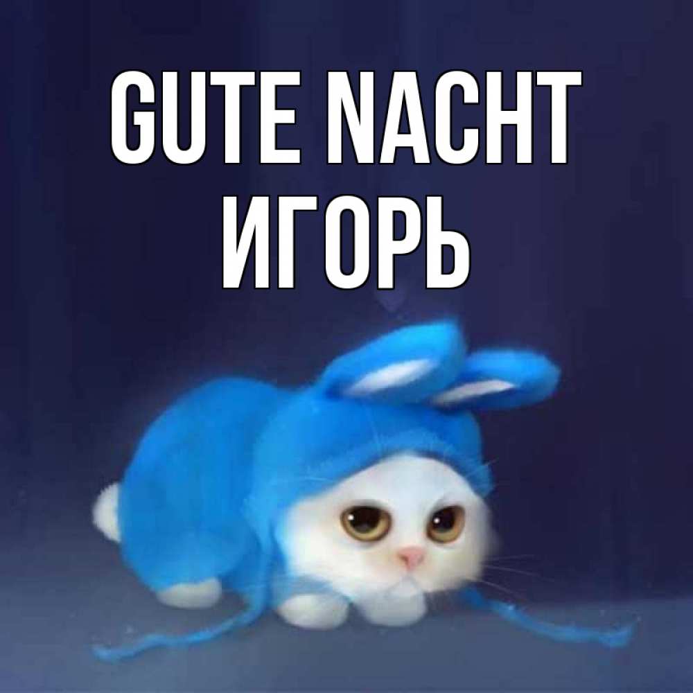 Открытка на каждый день с именем, Игорь Gute Nacht кот в голубом костюме кролика с ушками Прикольная открытка с пожеланием онлайн скачать бесплатно 