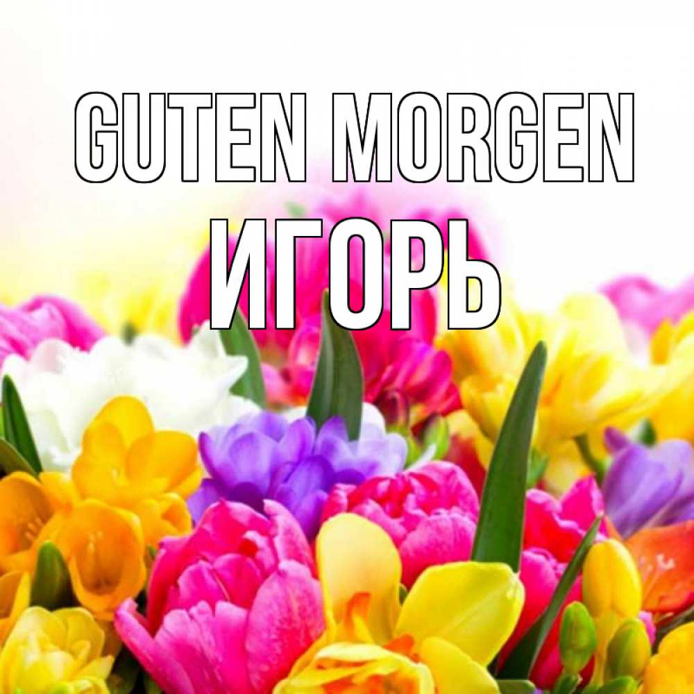 Открытка на каждый день с именем, Игорь Guten Morgen создать открытку со свое подписью Прикольная открытка с пожеланием онлайн скачать бесплатно 