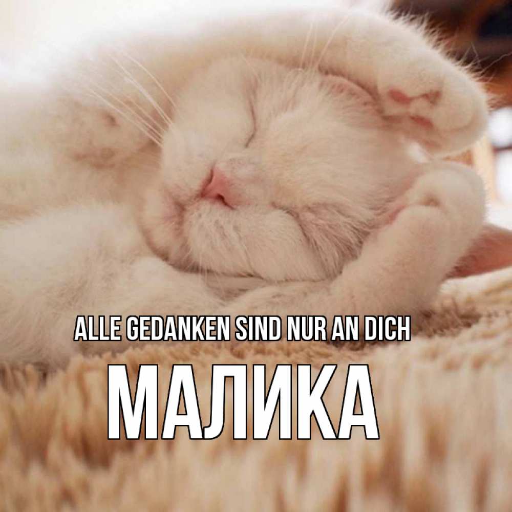 Открытка на каждый день с именем, Малика Alle Gedanken sind nur an dich для любимой девушки милота Прикольная открытка с пожеланием онлайн скачать бесплатно 