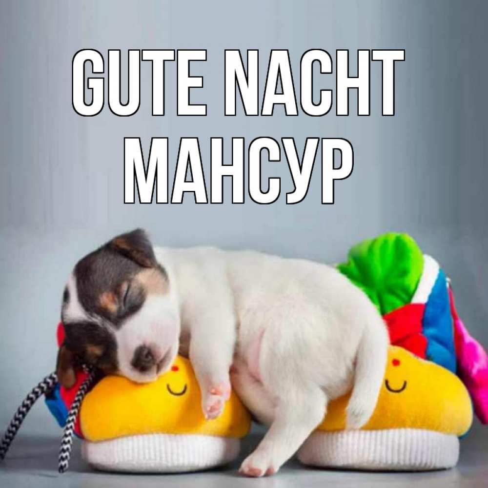 Открытка на каждый день с именем, Мансур Gute Nacht собачка Прикольная открытка с пожеланием онлайн скачать бесплатно 