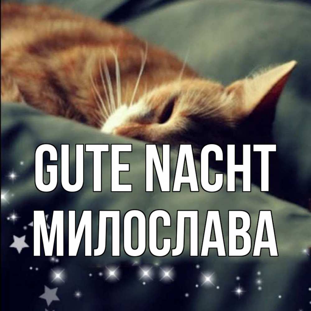 Открытка на каждый день с именем, Милослава Gute Nacht кроватка Прикольная открытка с пожеланием онлайн скачать бесплатно 