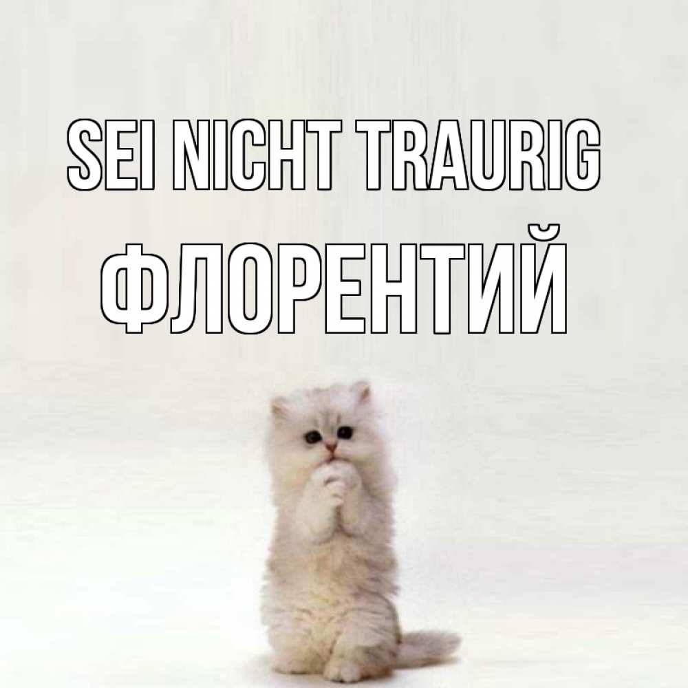 Открытка на каждый день с именем, Флорентий Sei nicht traurig грустный кот Прикольная открытка с пожеланием онлайн скачать бесплатно 