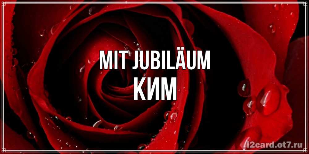 Открытка на каждый день с именем, Ким Mit Jubiläum крупная бордовая роза Прикольная открытка с пожеланием онлайн скачать бесплатно 