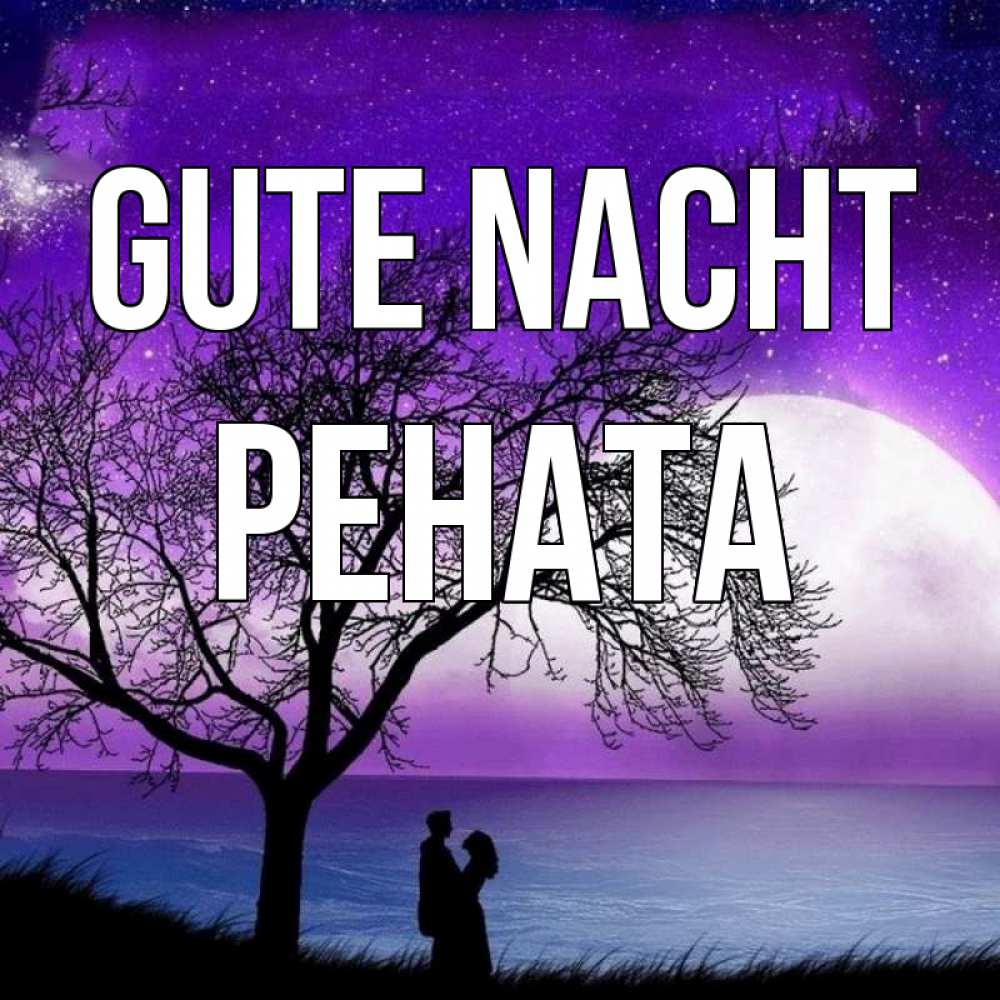 Открытка на каждый день с именем, Рената Gute Nacht огромная луна и парочка Прикольная открытка с пожеланием онлайн скачать бесплатно 
