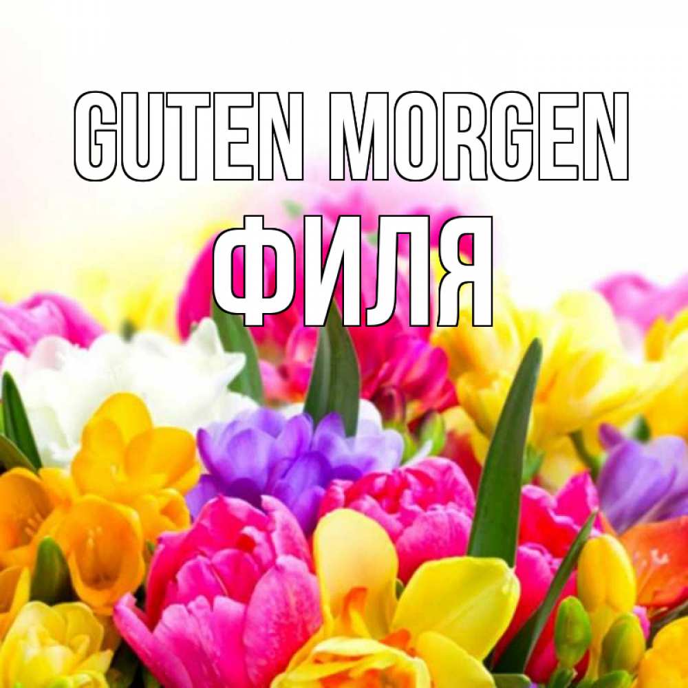 Открытка на каждый день с именем, Филя Guten Morgen создать открытку со свое подписью Прикольная открытка с пожеланием онлайн скачать бесплатно 