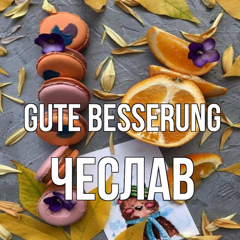 Открытка на каждый день с именем, Чеслав Gute Besserung не болейте Прикольная открытка с пожеланием онлайн скачать бесплатно 