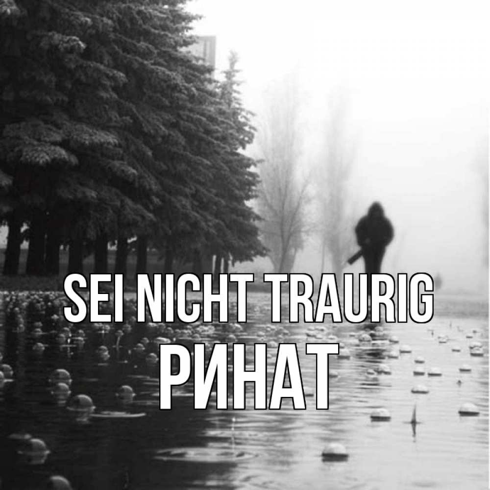 Открытка на каждый день с именем, Ринат Sei nicht traurig улица под дождем Прикольная открытка с пожеланием онлайн скачать бесплатно 