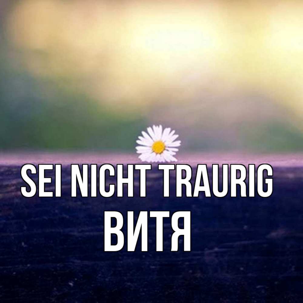 Открытка на каждый день с именем, Витя Sei nicht traurig красота Прикольная открытка с пожеланием онлайн скачать бесплатно 