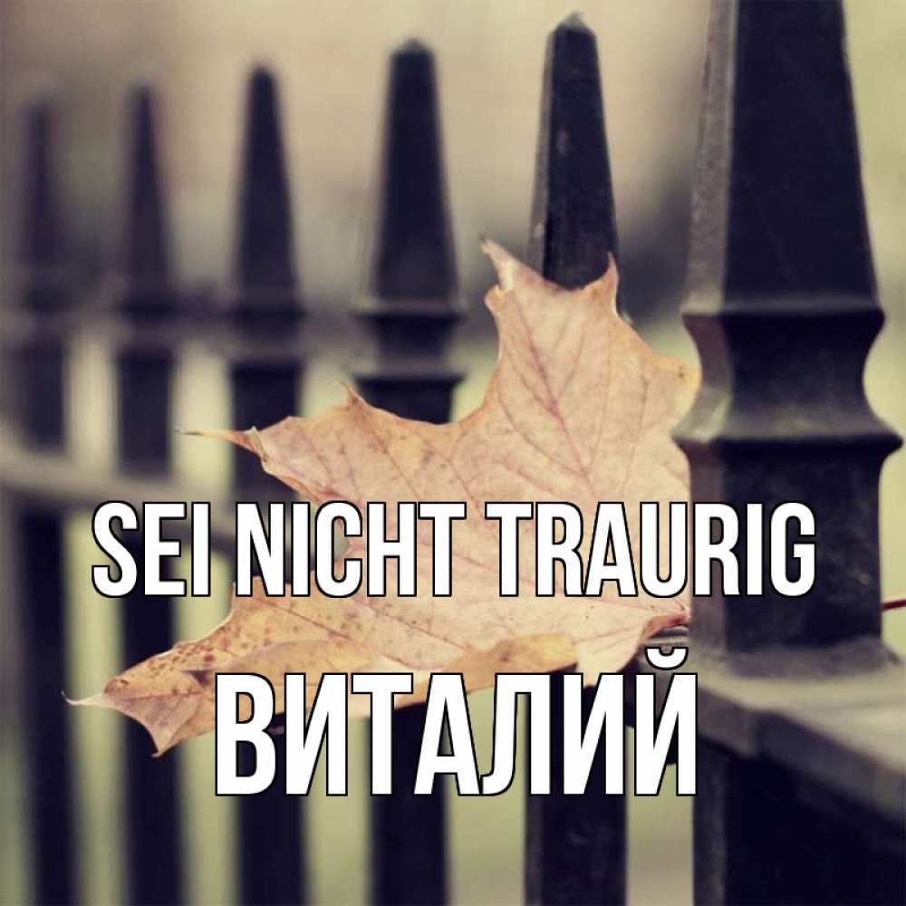 Открытка на каждый день с именем, Виталий Sei nicht traurig лист клена Прикольная открытка с пожеланием онлайн скачать бесплатно 