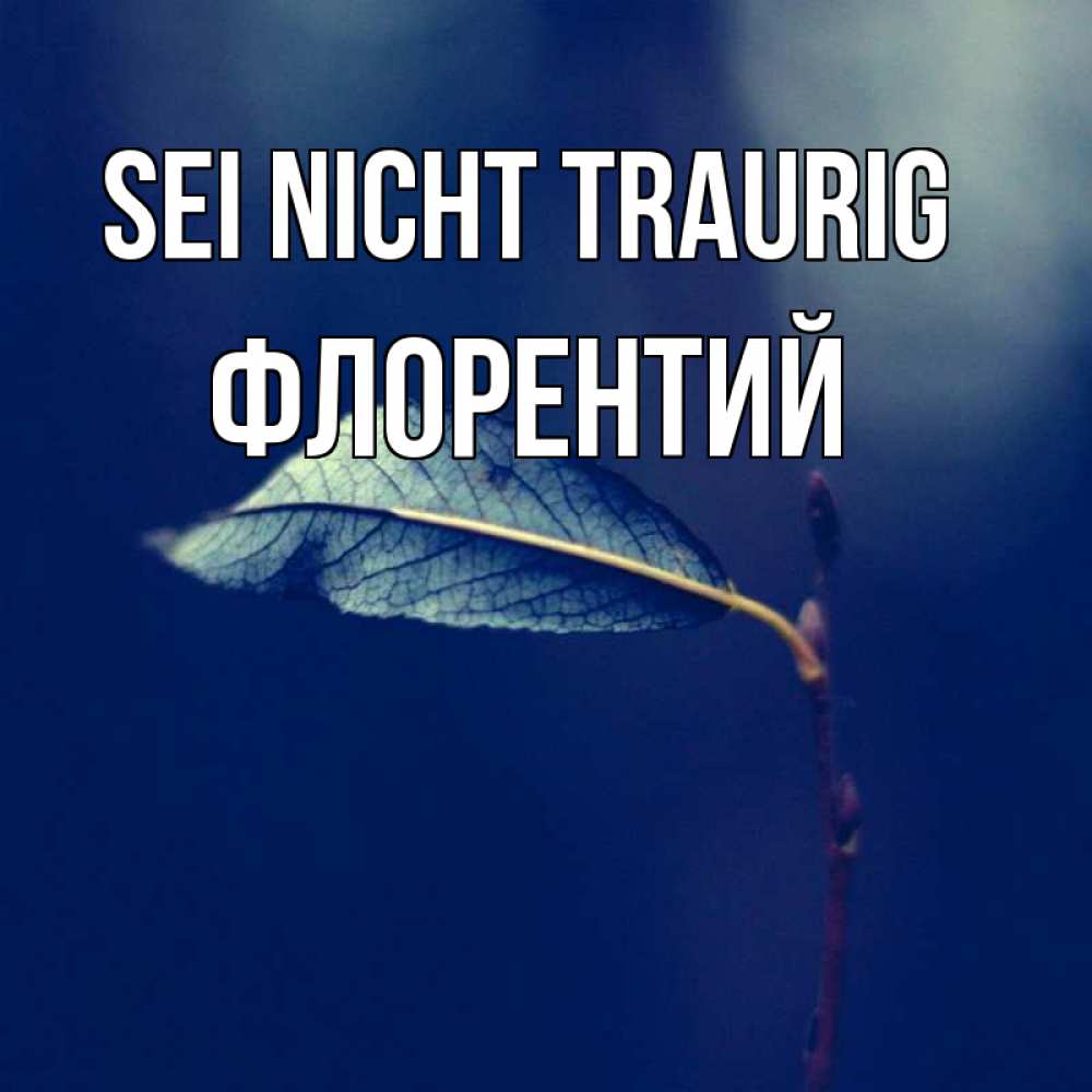 Открытка на каждый день с именем, Флорентий Sei nicht traurig растение Прикольная открытка с пожеланием онлайн скачать бесплатно 