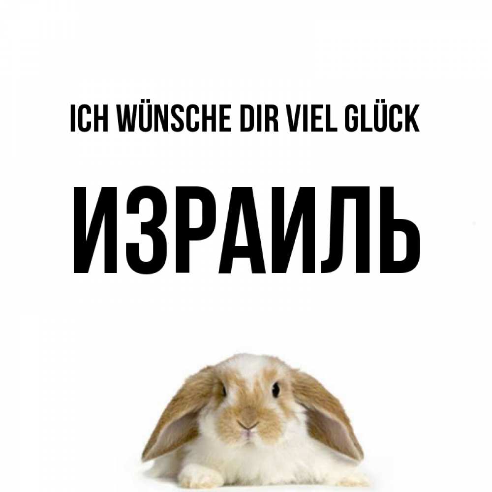 Открытка на каждый день с именем, Израиль Ich wünsche dir viel Glück открытки с произвольным текстом который можно вставить в открытку и создать ее самостоятельно бесплатно онлайн Прикольная открытка с пожеланием онлайн скачать бесплатно 